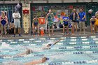 Swimming & Diving vs Babson  Swimming & Diving vs Babson College. - Photo by Keith Nordstrom : Wheaton, Swimming